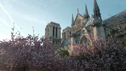 Forward Push In Low Angle View Side Notre Dame Cathedral Cherry Blossom Paris Stock Footage 93436288