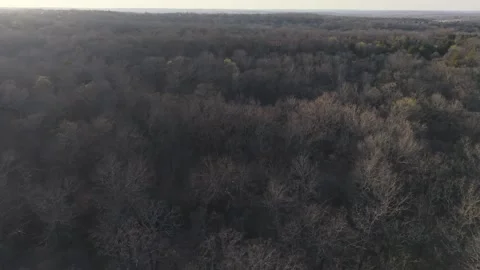 Forward Push Over Dense Winter Forest in Oklahoma Countryside 스톡 동영상 331957821