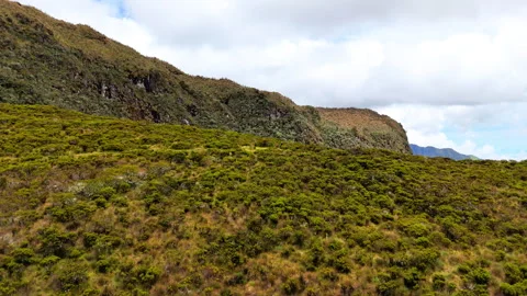 Forward Reveal Aerial Drone Flight Over Andean Mountains, Murillo Colombia Stock Footage 336732795