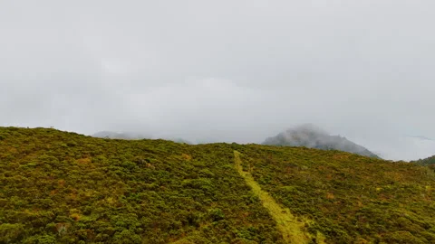Forward Reveal Aerial Drone Flight Over Misty Andean Mountains With Path Видео 336733026