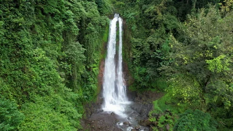 Forward reveal aerial footage of Gitgit waterfall. Bali, Indonesia. Stock Footage 285991210