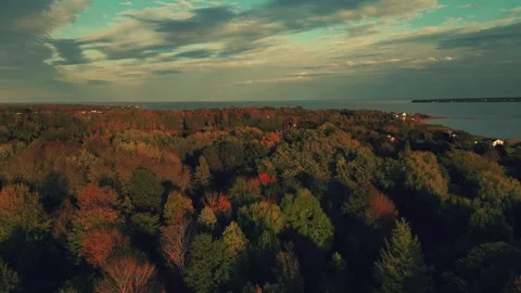 Forward Rising Drone Shot High Above The Trees With View Of Atlantic Ocean Video stock 255048909