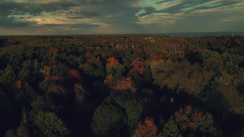Forward Rising Drone Shot High Above Trees Full Of Colour And Glowing Clouds Stock Footage 255048912
