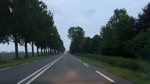 Forward road journey along tree lined countryside at dusk with glowing 스톡 동영상 343009688
