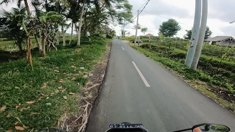 Forward rural tropical road through rice fields, palms, banana plants, village Stock Footage 338444398