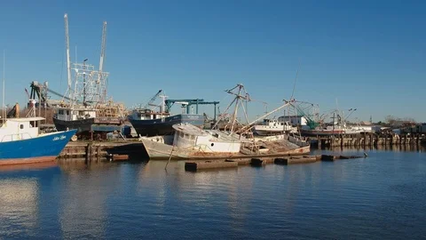 Forward shot of boats in various states of disrepair on river Stock Footage 101304881