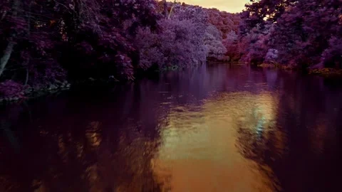 Forward shot that follows the orange current to the sun's reflection Stock Footage 247428541