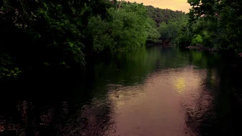 Forward shot over a peachy reflection in the current and green trees overhead Stock Footage 247428506