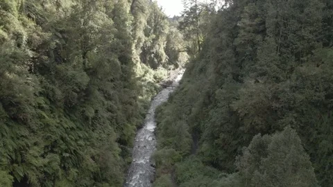 Forward shot of a river surrounded by green vegetation. Stock Footage 249894066