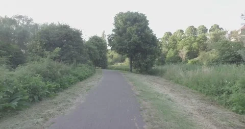 Forward steadicam motion in a green park Stock Footage 146656225
