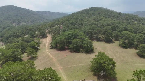 Forward Tilt Up Drone Toward Pine Hill Under Hazy Humid Sky 動画素材 337013142