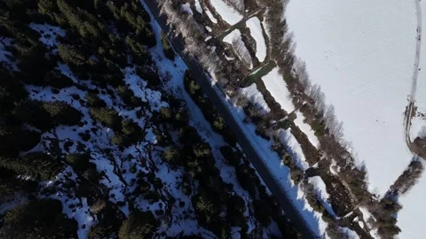 Forward Top-Down Drone Flight Over Snowy Terrain and Pine Forest Path in Vídeo Stock 336941381