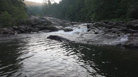 Forward track of rapids in a forested mountain river Video stock 248552967