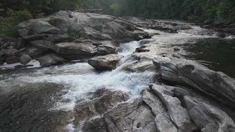 Forward track of rapids in a forested mountain river Video stock 248572182