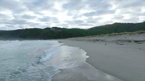 Forward tracking beach with ocean left and forest Vídeo Stock 340993153