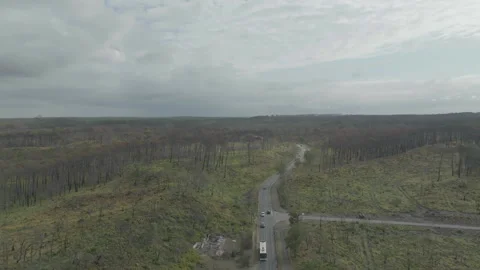 Forward tracking drone over deforested area with road centered, France Stock Footage 333108563