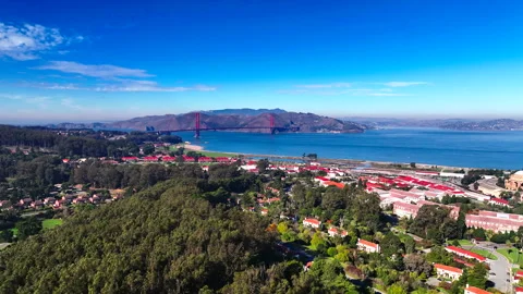 Forward tracking forest foreground, city, river and San Francisco bridge Stock Footage 336792601