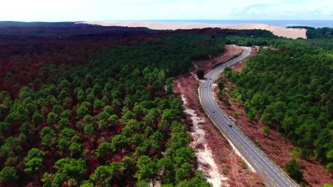 Forward tracking of green forest with road on right side, Gironde Stock Footage 332065598