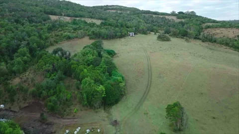 Forward tracking plain with forest and cabin background Vídeo Stock 340993181