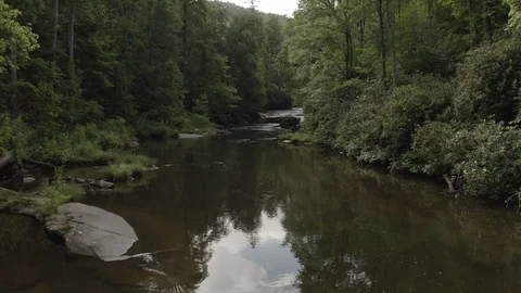Forward tracking on river in forested area in southeastern United States Video stock 112268672