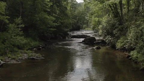 Forward tracking on river in forested area in southeastern United States Video stock 112272169