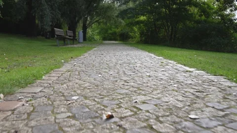 Forward Tracking Shot along a Cobblestone Park Path with Benches Stock Footage 345581293