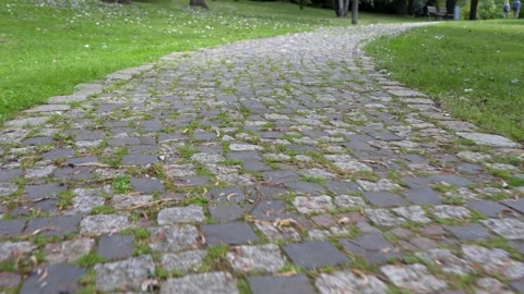 Forward Tracking Shot along a Curving Cobblestone Path in a Green Park Stock Footage 345581115