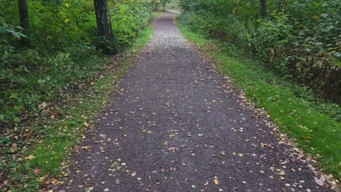 Forward tracking view of an autumn leaf-covered forest path in Sweden Stockbeeldmateriaal 347213173