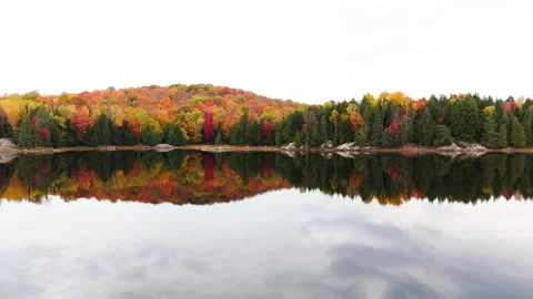 Forward view of a lake and forest in autumn Stock Footage 258023057