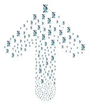 Forward Way Arrow Figure with DNA Spiral Stock Illustration