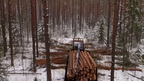 Forwarder dragging pile of wood, moving away Stock Footage 70707440