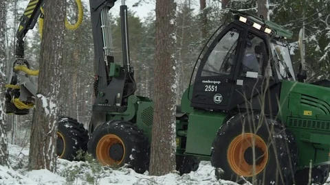 Forwarder in the forest Stock Footage 70415494