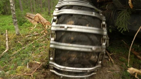 A forwarder loader loaded with logs drives through the forest. Deforestation. Stockbeeldmateriaal 283198783