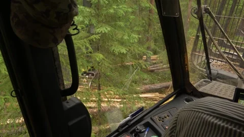 Forwarder loader loads and transports felled logs in the forest. Deforestation Stockbeeldmateriaal 283197040