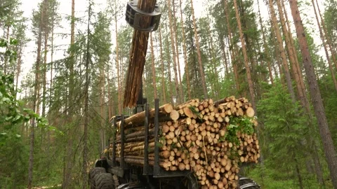 A forwarder loader loads and transports felled logs in a forest. Deforestation 스톡 동영상 283197539