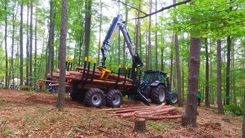 Forwarder loading logs Video stock 127018387