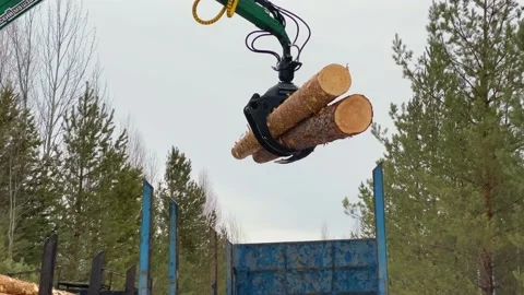 Forwarder loads timber into a timber truck. Close-up. Forestry equipment 動画素材 181341082