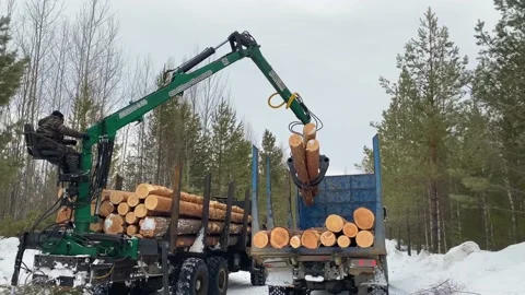 Forwarder loads timber into a timber truck. Transportation of timber. Stock Footage 181341087