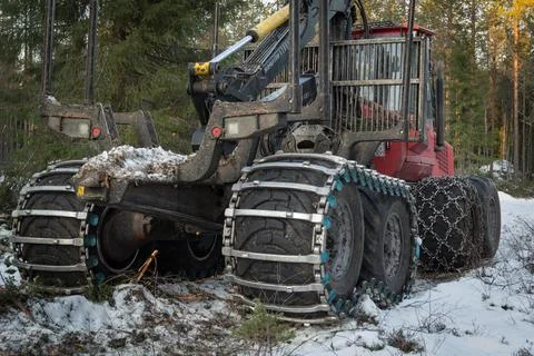 The forwarder Fotos de archivo