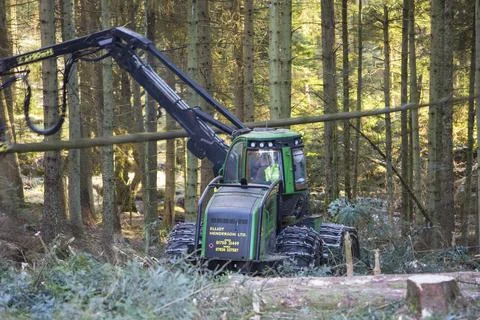 A forwarder, a specialist machine for cutting timber in Grizedale Forest, Lak Stock Photos