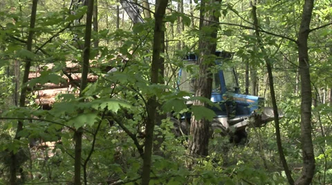 A forwarder transporting the logs from the felling area 動画素材 39011913
