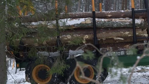 Forwarder transporting wood, beauriful forest in winter Stock Footage 70705383