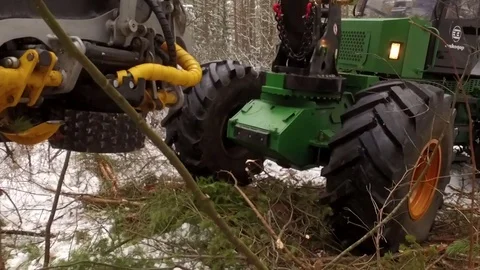 Forwarder working in the forest, close view Stock Footage 70707140