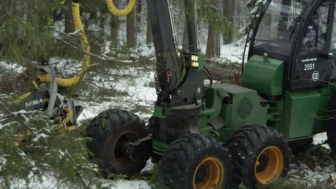Forwarder working in the forest Stock Footage 70416898