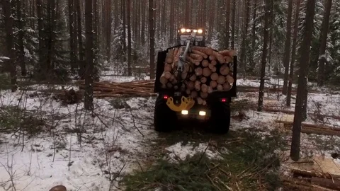 Forwarder working in the forest, moving away 스톡 동영상 70707449