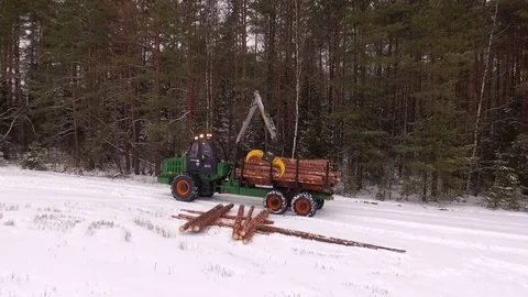 Forwarder working in the forest, processing raw wood in the forest Stock Footage 70705785