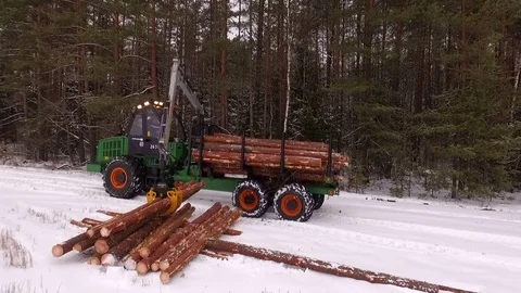 Forwarder working in the forest, processing wood in the winter forest Stock Footage 70705986