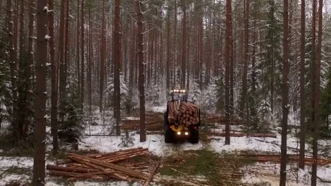 Forwarder working in the forest, wide shot Stock Footage 70707433