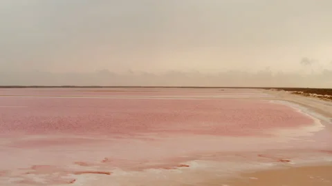 Forwards fly above system of ponds for salt extraction. Uncommon pink color of Stock Footage 164307797