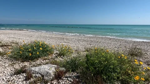 Fossacesia beach Stock Footage 276259302